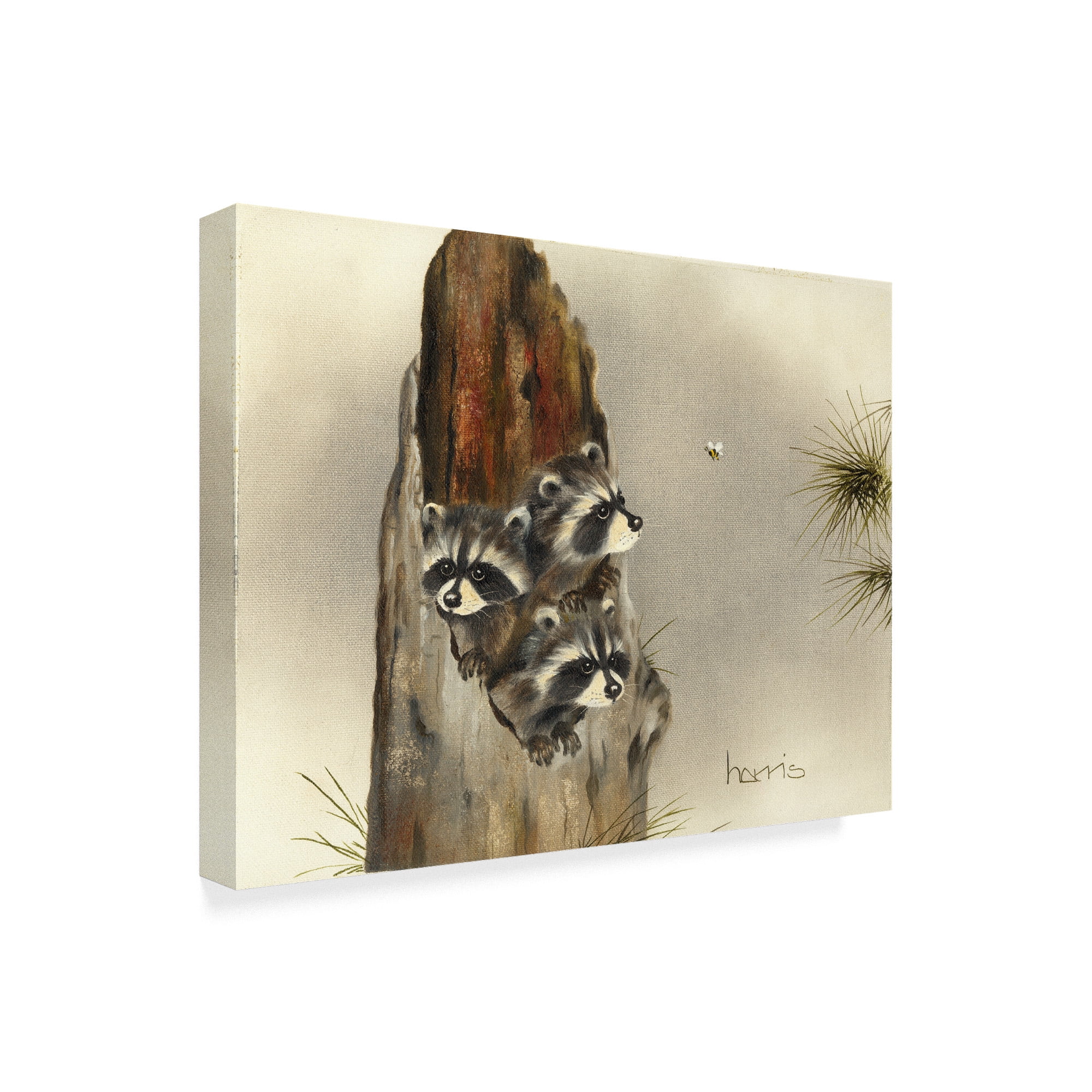 Trademark Fine Art 'Aint Misbehaving Yet' Canvas Art by Peggy Harris