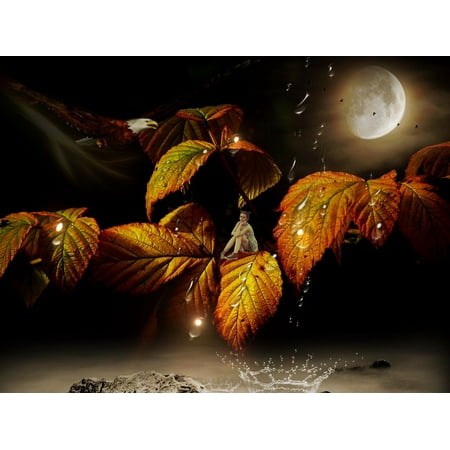 LAMINATED POSTER Leaves Elf Autumn Magical Mystical Girl Colored Poster Print 24 x 36