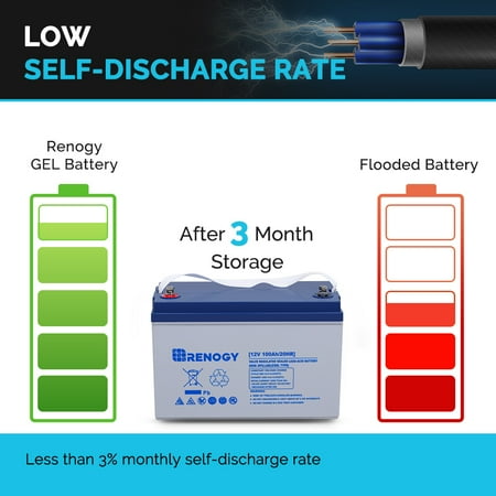 Renogy - 12-Volt 100Ah Deep Cycle Hybrid GEL Battery