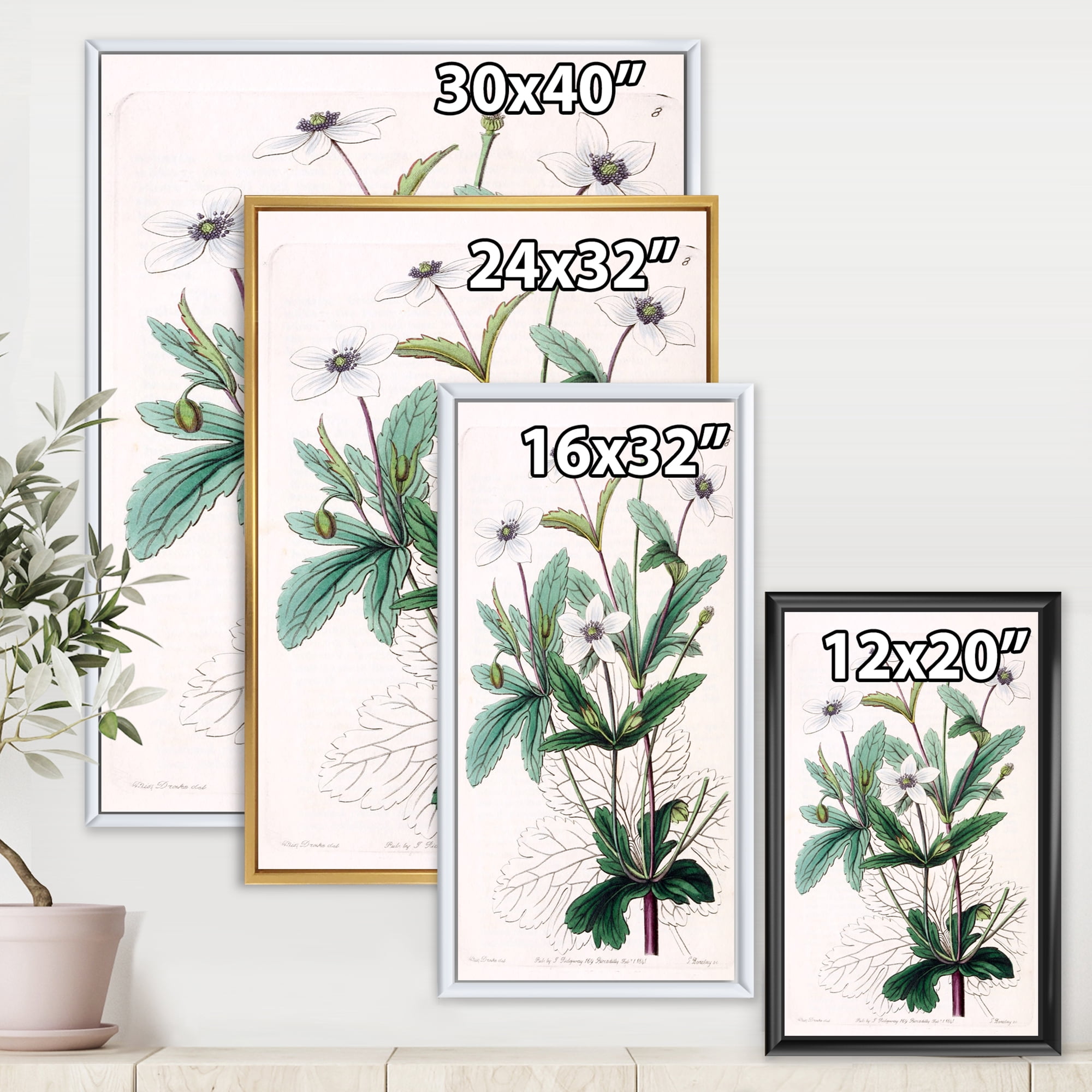 Designart 'Ancient Plant Life XXI' Traditional Framed Canvas Wall Art Print