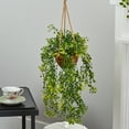 thumbnail image 3 of Nearly Natural 20" Baby Tear Artificial Plant in Hanging Basket in Green, 3 of 4