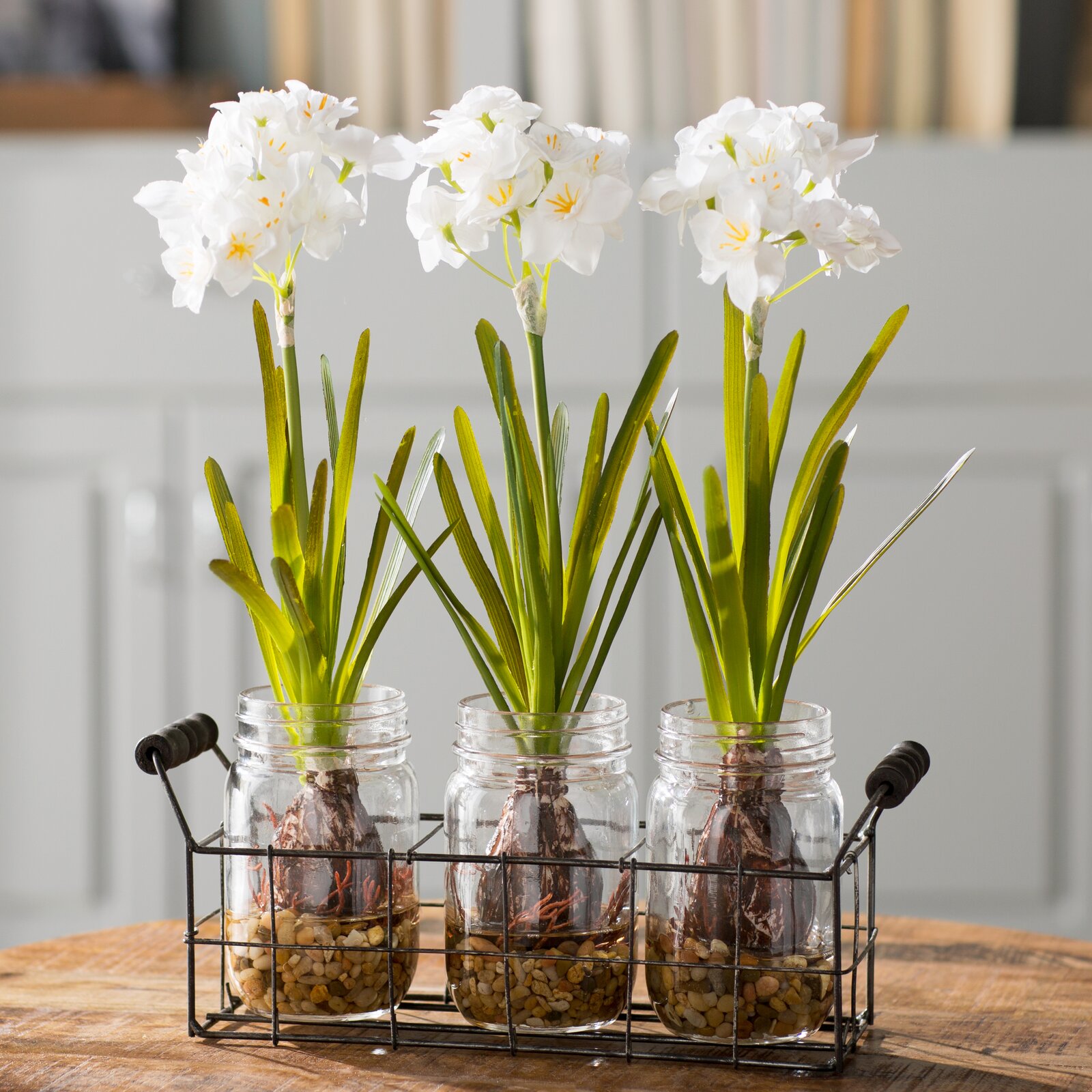 Orchids Floral Arrangement in Glass Jars