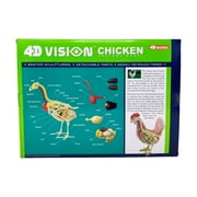 4D Master 4D Vision Chicken Anatomy Model