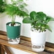 thumbnail image 3 of maceta de interior,Maceta grande con riego automático Potted Plant Craft,maceteros grandes de violeta africana para plantas de interior,maceteros grandes de violeta africana para plantas de, 3 of 9