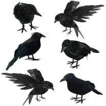 Susenc 6 Pcs Halloween Black Crows Feathered Crows Realistic Looking Ravens Large Handmade Black Crow for Halloween Decoration Party Supplies