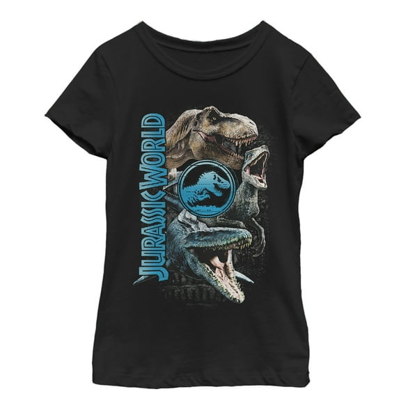 Girl's Jurassic World: Fallen Kingdom Dinosaur Montage  Graphic Tee Black X Large