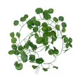 thumbnail image 2 of Oubit Artificial Ivy Garland LED Fairy Lights Simulation Cane Light String for Indoor Outdoor Decoration, 2 of 9