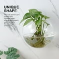 thumbnail image 3 of HONMEET Set of 4 Glass Wall with Clear High Transparency for Stylish Indoor Plant Display and Home Decoration, 3 of 6