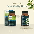thumbnail image 6 of Gaia Herbs Prostate Health - Supports Prostate Health and Function for Men - With Saw Palmetto, Green Tea, Nettle Root, and White Sage* - 60 Vegan Liquid Phyto-Caps (30 Servings), 6 of 9