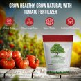 thumbnail image 4 of WonderTree Organics -Organic Enriched Tomato Fertilizer, Granular Premium Plant Food for Healthy Tomato Growth and Abundant Harvests - 8-5-8, 4 lbs, 4 of 9