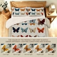 thumbnail image 2 of FIVERAM Butterfly Bedspread for Queen Bed,3 Piece Lightweight Patchwork Quilt Set Queen Size,Reversible Coverlet Bedding Set for Women Bedroom Decor, 2 of 8