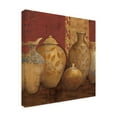 thumbnail image 4 of Trademark Fine Art 'Aegean Vessels Spice Extra Vessel Crop' Canvas Art by Avery Tillmon, 4 of 4