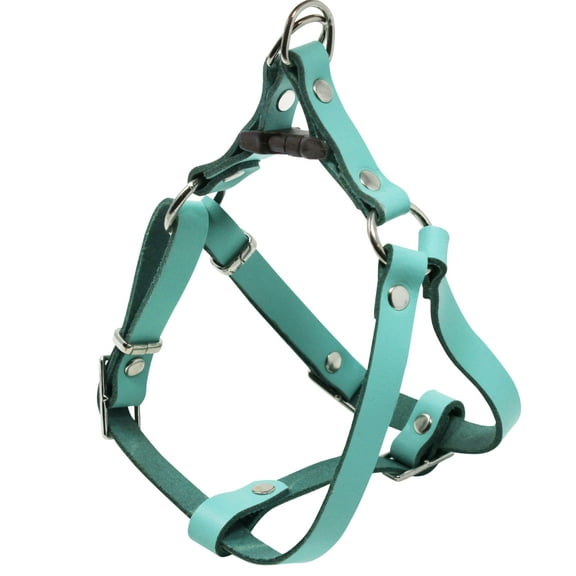 Genuine Leather Adjustable Step-in Dog Harness 2 Sizes Small XSmall [Turquoise]