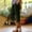 Army Green, variant on Women's Split Hem Capri Pants, Elastic Waist with Pockets for Casual Daily Wear