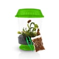 thumbnail image 1 of Planta con trampa para moscas Venus de la marca Live, con terrario verde de 4,5 cm y comida, 1 of 7