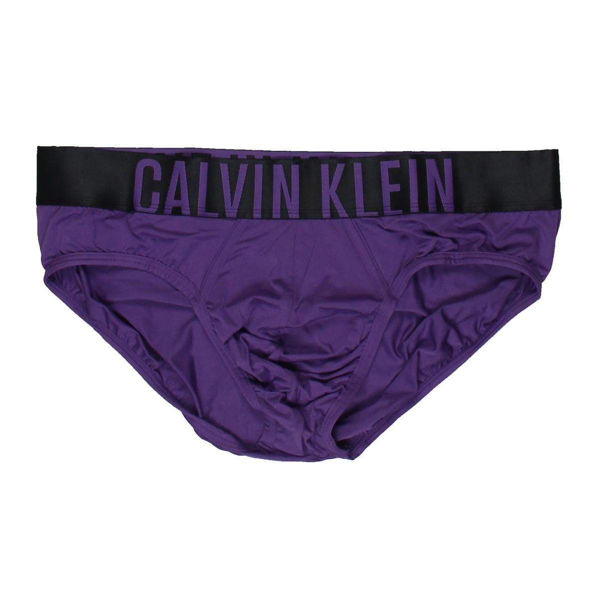 Calvin Klein Mens Microfiber Low-Rise Briefs - Walmart.com