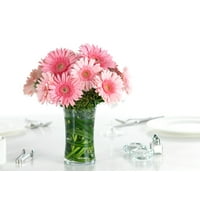Better Homes&gardens No Shade 3qt Bhg Gerbera Daisy