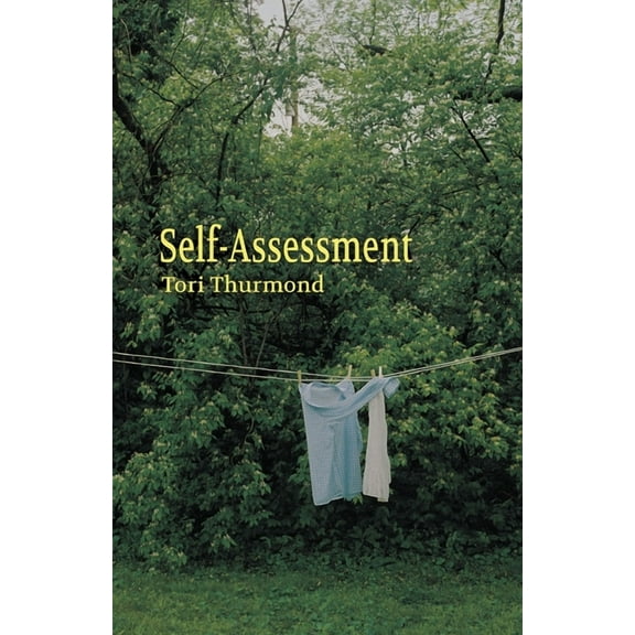 Self-Assessment (Paperback)
