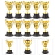 thumbnail image 4 of FELTECHELECTR Trofeo de 10 piezas con base negra para juegos de competición, premio, trofeo decorativo, trofeo de plástico., 4 of 6