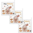 thumbnail image 7 of Dreamtimes 3 PCS Cute Gnome Turkey Pumpkin Pie Baby Muslin Washcloths, Face Towel Burp Cloths Ultra Soft Absorbent Cotton Bath Wipes Towels for Newborn Boys Girls, 7 of 7