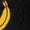 Black, variant on Dark Blue Dark Blue Cute Banana Shaped Socks For Men Women Novelty Fruit Design Soft Knit Crew Length