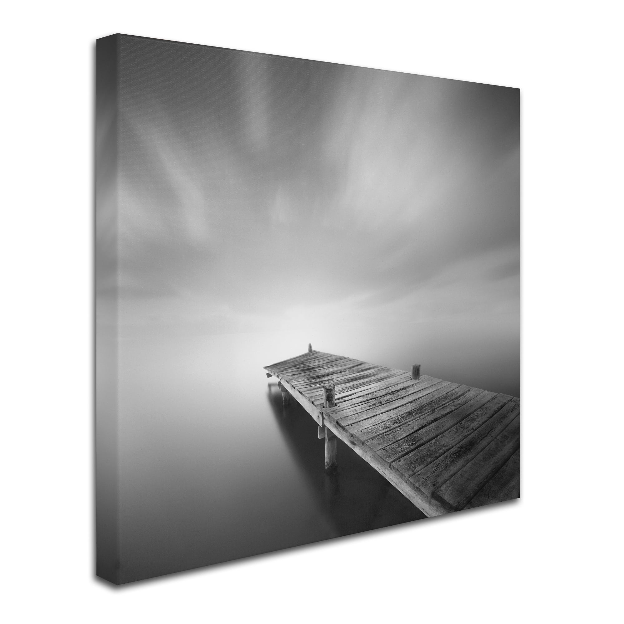 Trademark Fine Art "Destiny IVb" Canvas Art by Moises Levy