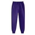 thumbnail image 5 of BRDFRL Womens Sweatpants with Pockets Cotton Solid Color Drawstring Women's Pants with Pockets Sweat Pants Trousers Purple M, 5 of 7
