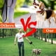 thumbnail image 5 of Correa retráctil para perros, 3 m Correa para perros retráctil con linterna Correa para caminar para perros pequeños, medianos y grandes Cordón de nailon sin enredos de 360 ° Entrenamiento Correr MFZFUKR BST3013816-2, 5 of 6