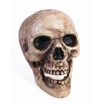 Skull With Moving Jaw Halloween Decoration