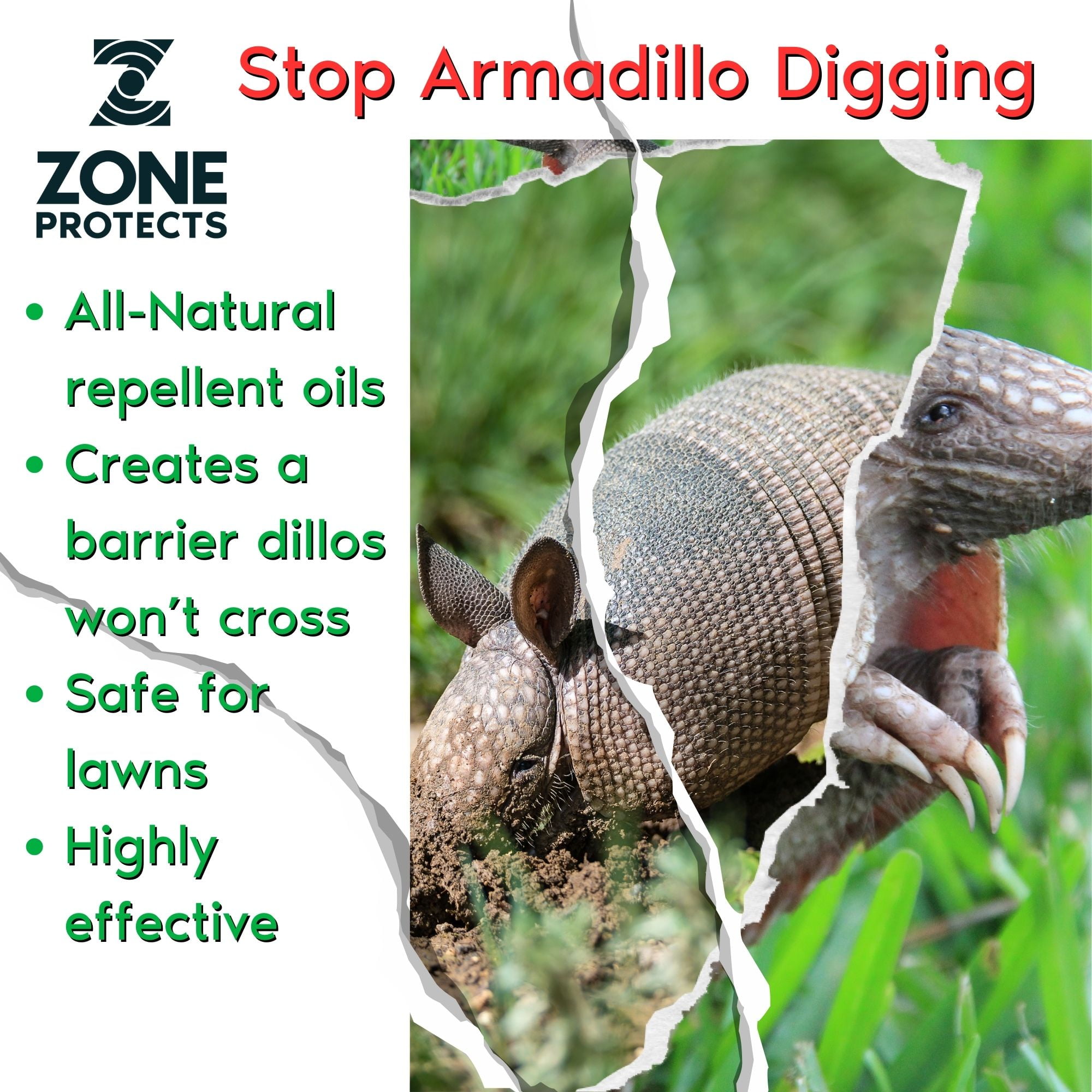 Zone Protects Dillo Dun! Armadillo Repellent; Stops Armadillos from Digging