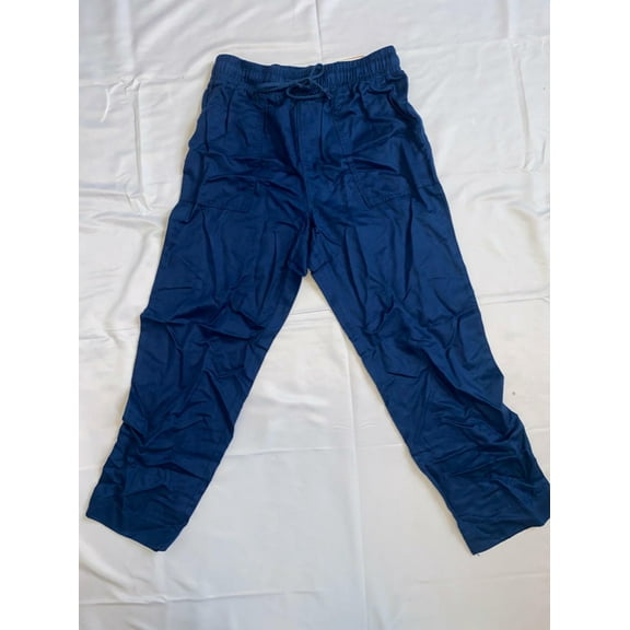 MSRP $50 Style & Co Pull-On Ankle Pants Blue Size Small