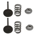 thumbnail image 5 of Exhaust Valve Spring Engine Valve Springs Parts for Honda GX160 GX200 168F 170F Accessory, 5 of 8