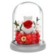 thumbnail image 1 of Cubierta de cristal con luces de oso flocado, flor eterna, rosa, regalos navideños, regalos de cumpleaños para familiares y amigos, 1 of 5