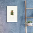 thumbnail image 4 of Epic Art 'Beetle Green' by GraphINC, Acrylic Glass Wall Art, 16"x24", 4 of 8