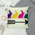 thumbnail image 2 of Shiartex  Easter Pillow Covers Easter Decorations for Home Bunny Trail Easter Pillows Decorative Spring Throw Pillows Cushion Covers Farmhouse Easter Decor, 2 of 5