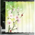 thumbnail image 4 of Ambesonne Floral Shower Curtain, Blossoms Ladybugs Spring, 69"Wx75"L, Green Pink, 4 of 5