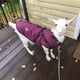thumbnail image 4 of Puppy Clothes Winter Dog Coat Jacket for Small Medium Dog Reflective Costume Pet Apparel Chihuahua French Bulldog Pug Outfits ShopWise Round, 4 of 17