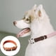 thumbnail image 5 of Collar de piel de vaca, collar para mascotas, hebilla de latón, collar de perro de piel de Caballo Loco, correa para el cuello de piel de vaca, 5 of 5