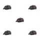 thumbnail image 1 of Jumpingount Boinas sombrero a cuadros fieltro invierno cálido festival al aire libre senderismo Camping senderismo calle gorra plana con visera Type2 NO2, 1 of 6