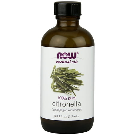 - NOW Essential Oils, Citronella Oil, Freshening Aromatherapy Scent, Steam Distilled, 100% Pure, Vegan, 4-Ounce