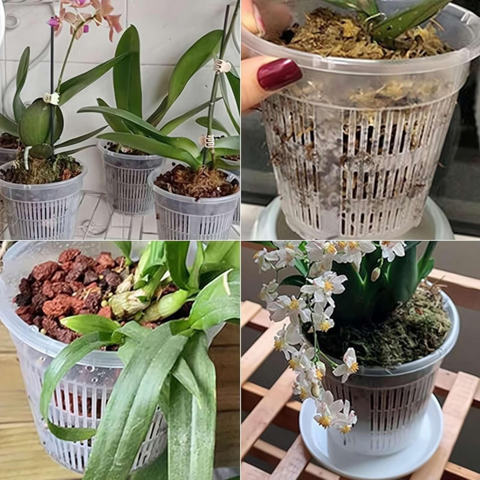 Naked Root Pot, 1 Pack 5.51x4.72 Inch Clear Orchid Pots with Holes for Repotting, Breathable Orchid Pot, Slotted Plastic Orchid Planters with Drainage for Plants and Flowers Root Health Indoor Outdoor