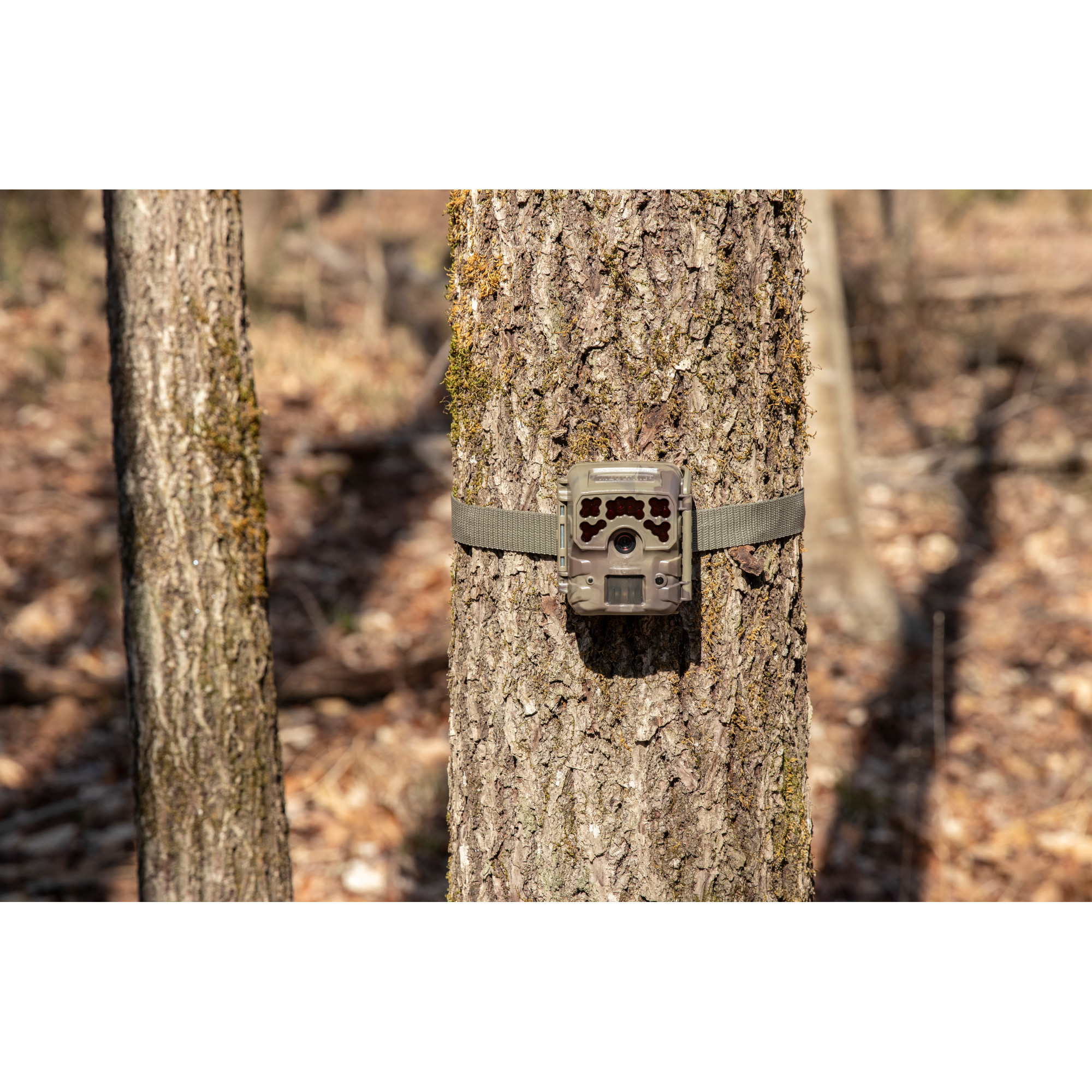 Moultrie Micro-W36 Long Range Infrared Hunting Trail Camera, 36 ...