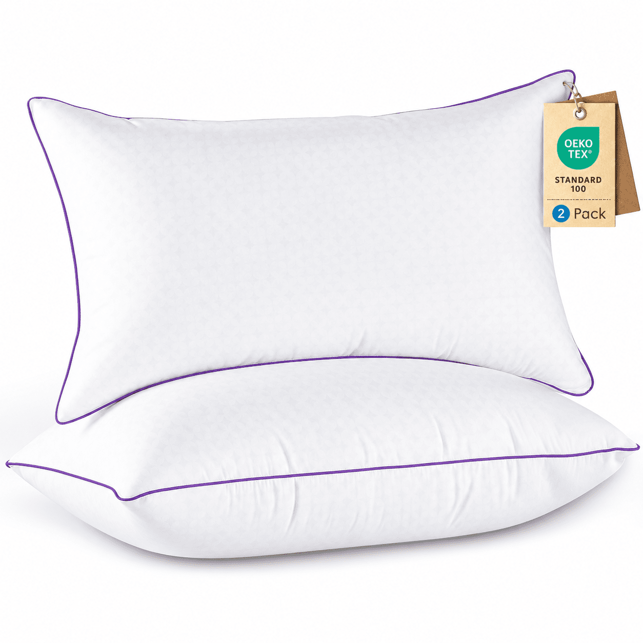 RILIHO Bed Pillows for Sleeping 2 Pack Queen Size,Pillows for Side and Back Sleepers,Super Soft Down Alternative Microfiber Filled Pillows,18 x 28 Inches