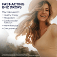 thumbnail image 4 of KAL B-12 DropIns 1000 mcg | Natural Grape Flavor | Healthy Metabolism, Energy, Nerve & Red Blood Cell Support | 2 FL. OZ. | 196 Servings, 4 of 7