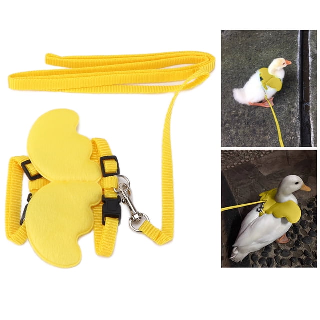Chicken Harness, Pet Duck Walking Harness Leash and Wings Chicken Leash Bird Leash Hen Chickens Harness Outdoor Training Traction Rope for Chicken Duck Goose Hen Small Pets