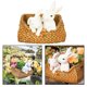 thumbnail image 4 of Flor de conejo de resina decoración de Pascua de flor de conejo suculentas s de jardín regalos Sunnimix Flowepot al aire libre, 4 of 8
