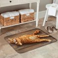 thumbnail image 2 of FJPT Non Slip Flannel Polyester Floor Mat With Cute Orange Cat Design For Bathroom Kitchen Bedroom Decor 31.5x19.7 inch, 2 of 5