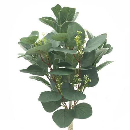 UPC: 0191518186345 | Silver Dollar & Lamb s Ear Bush by Ashland®