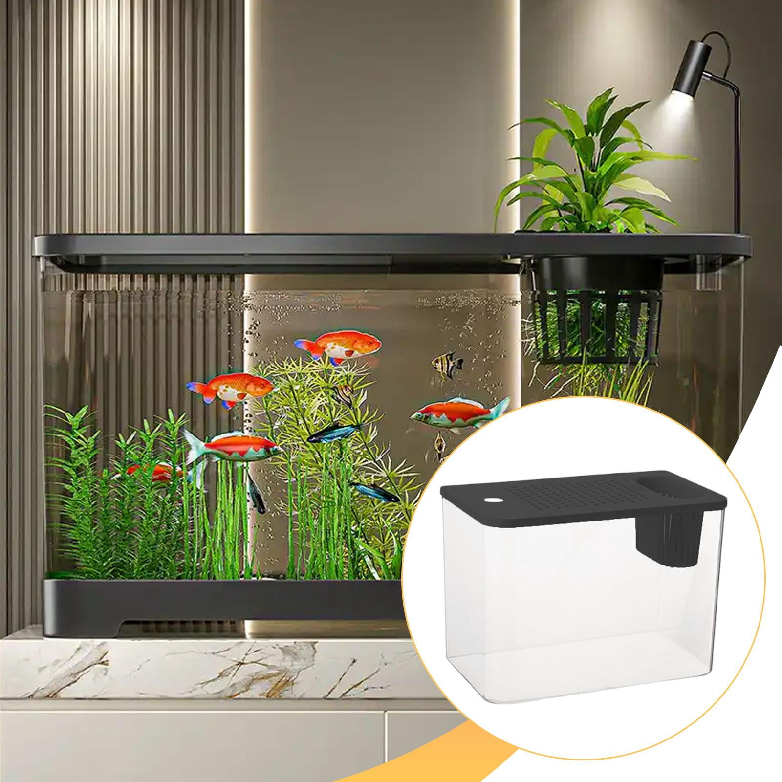 EHJRE Reptile Terrarium Tank Aquarium Clear Habitat Cage Transparent Feeding Box Sturdy Pp Build Suitable for Fish Keeping Reptile Caring Desktop Placement Black Lid