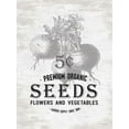 thumbnail image 2 of Lettered And Lined 19x24 White Modern Wood Framed Museum Art Print Titled - Seeds, 2 of 4